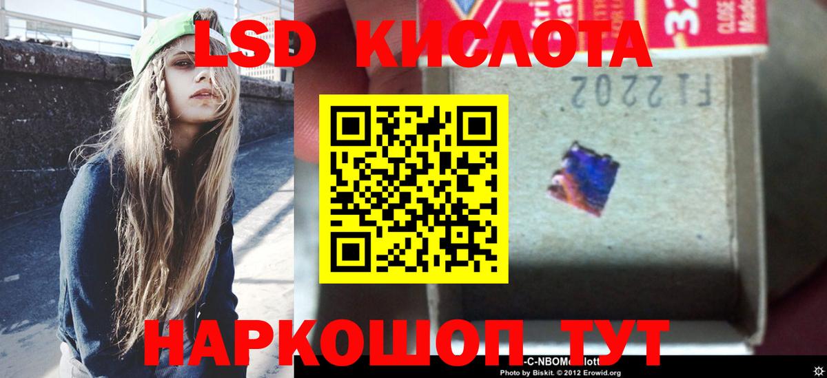 LSD-25 экстази кислота Кингисепп