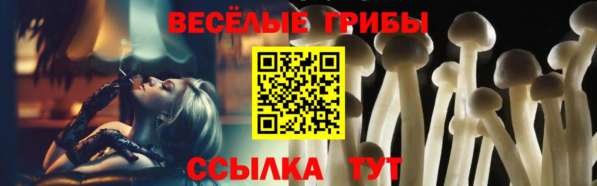 Галлюциногенные грибы GOLDEN TEACHER  Вход с VPN  Кингисепп 